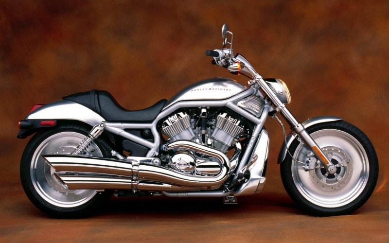 Харлей v Rod muscle