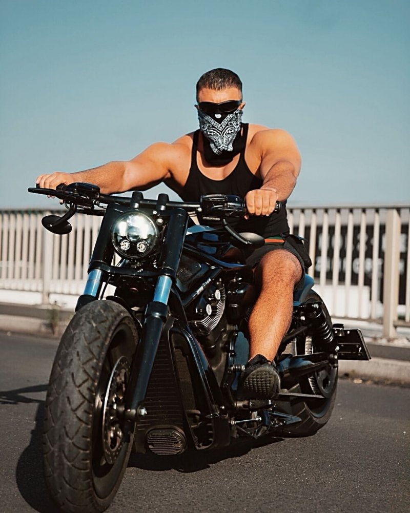 Harley Davidson v-Rod muscle 2015