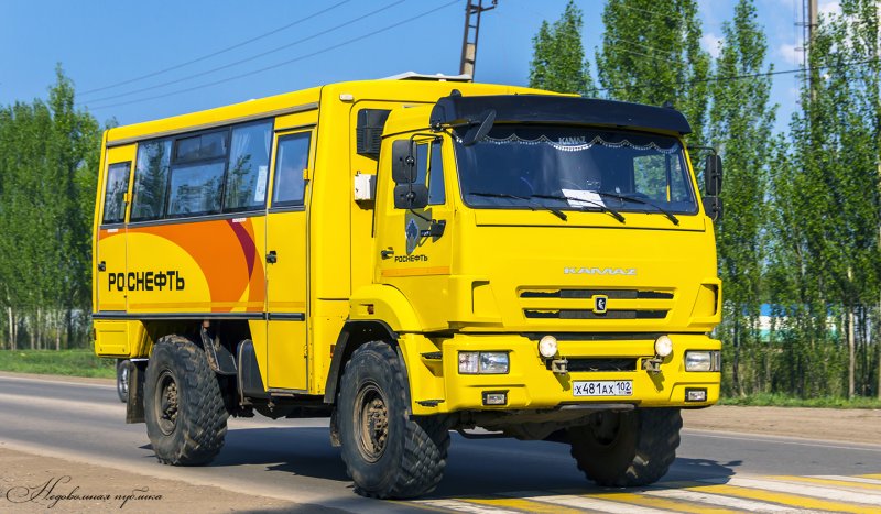 КАМАЗ 42111-24 х481ах102