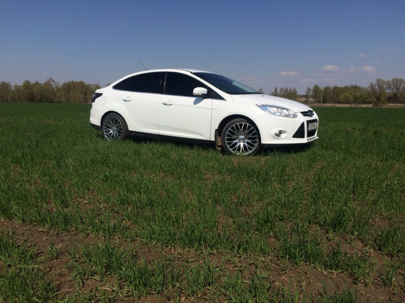 Ford Focus 3 седан белый