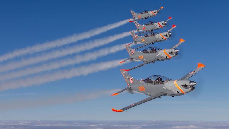 PZL P-11 В Люфтваффе
