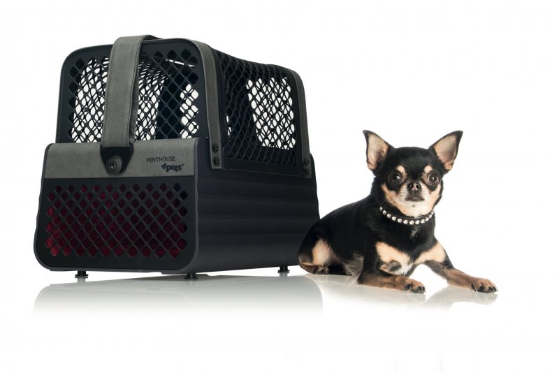 4pets сумка-переноска Montreal с автомобильным креплением