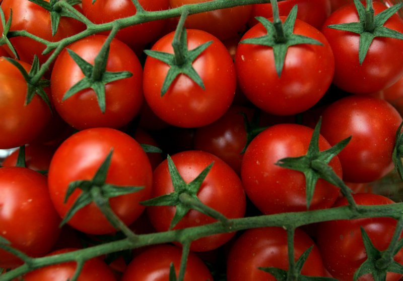 Tomato "Red Dome f1"
