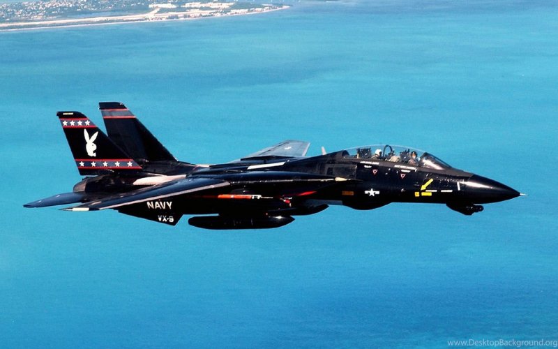 F-14 Jet