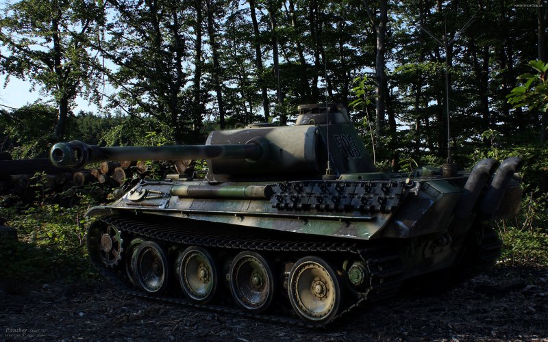 PZ 5 Panther