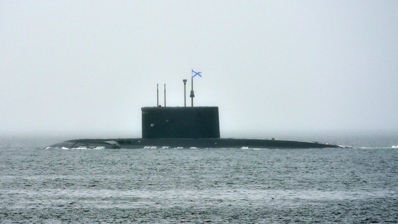 29 ДПЛ ТОФ Ракушка