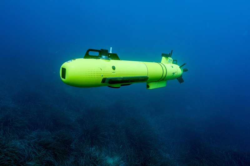 Рюкзак Chasing Dory