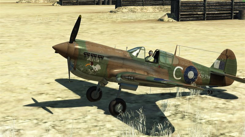Il-2 he-100 Skins