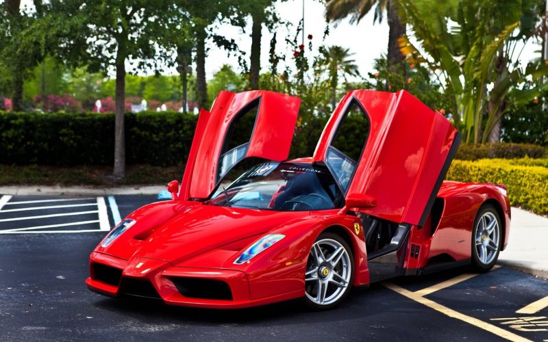 Ferrari Enzo Ferrari