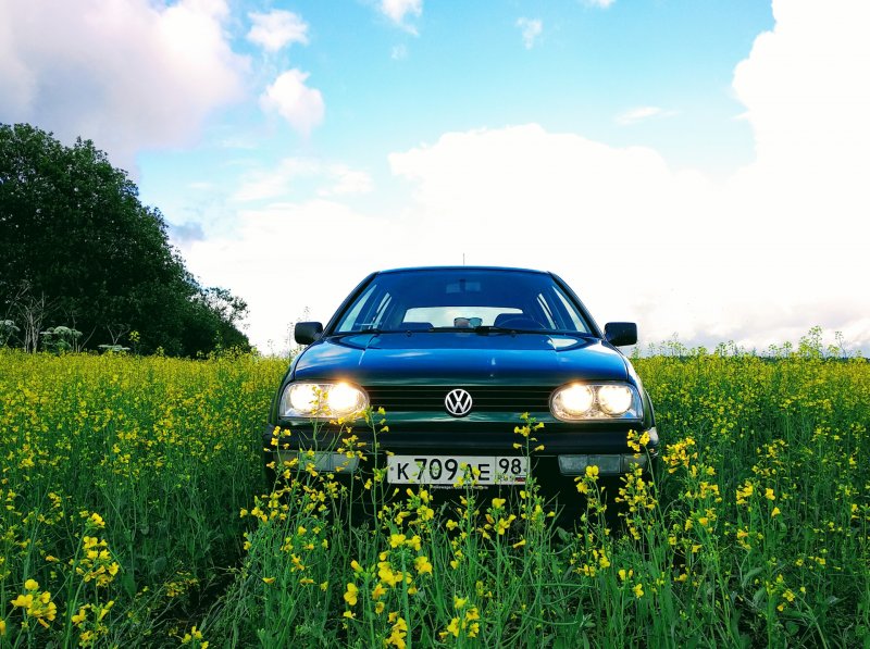 Volkswagen t1 пальмы