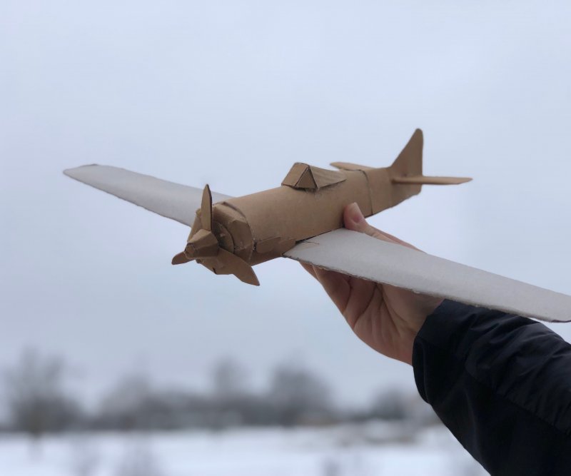 Самолет из коробки