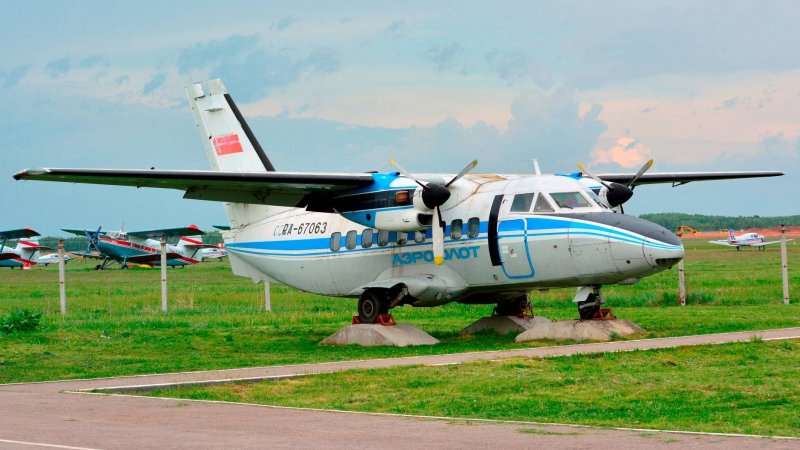 Ан124 альбинос