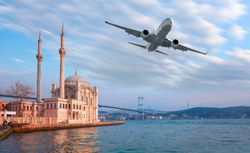 Turkish Airlines Внуково Стамбул