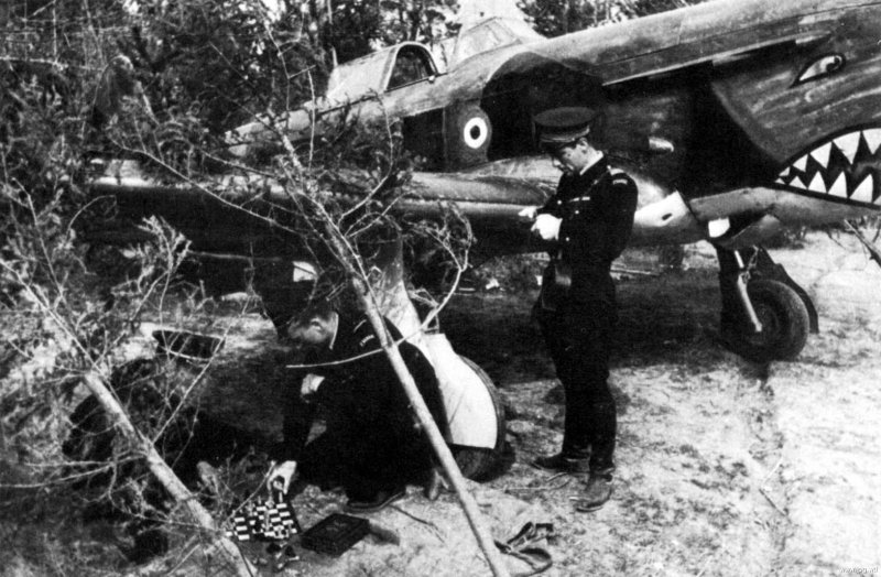 116 Гвардейский авиаполк и Аэрокобра