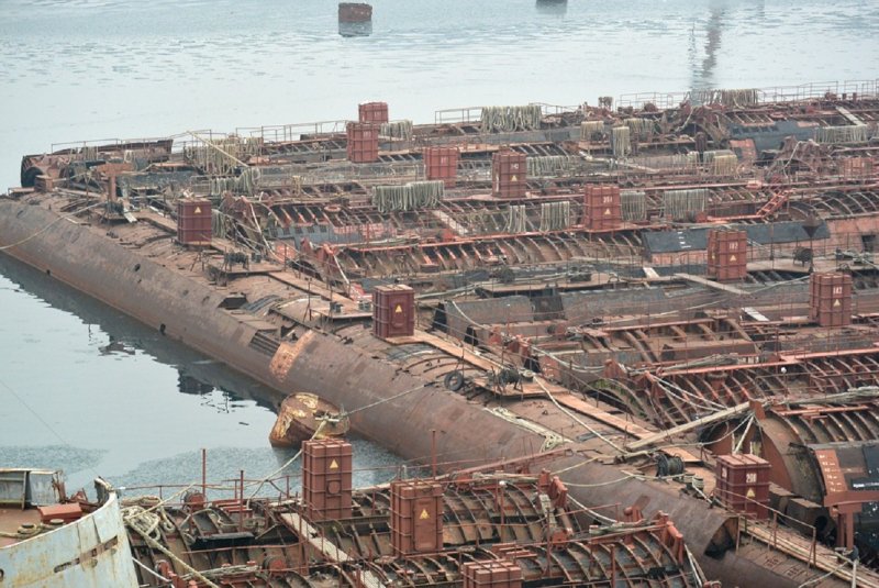 Фокино бухта разбойник