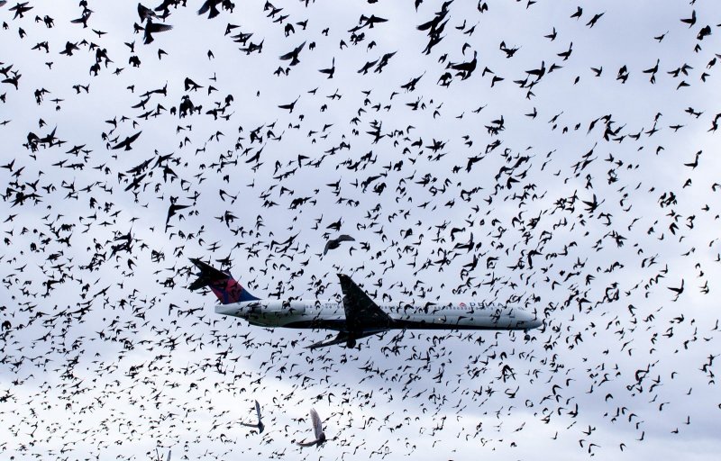 A300 Beluga погрузка