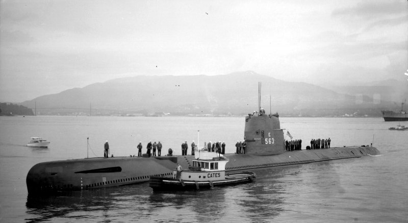 Подводная лодка Dolphin Type 800