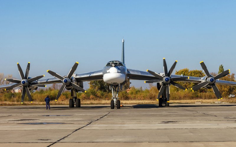 Стратегический бомбардировщик ту-95 медведь
