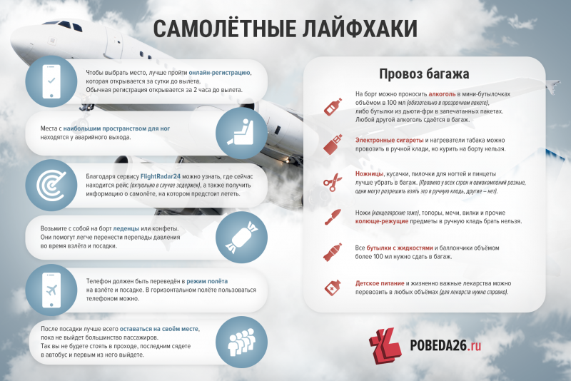 Что можно провозить в ручной клади в самолете 2019