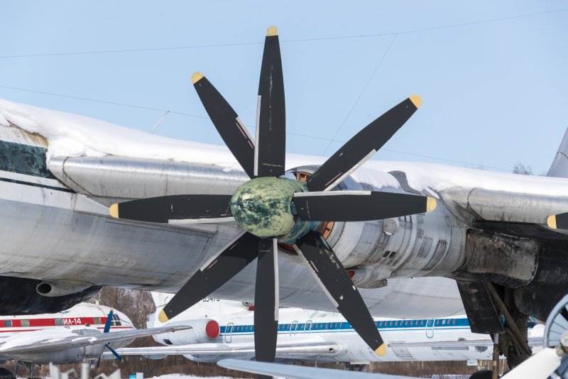 Ту 95 пассажирский