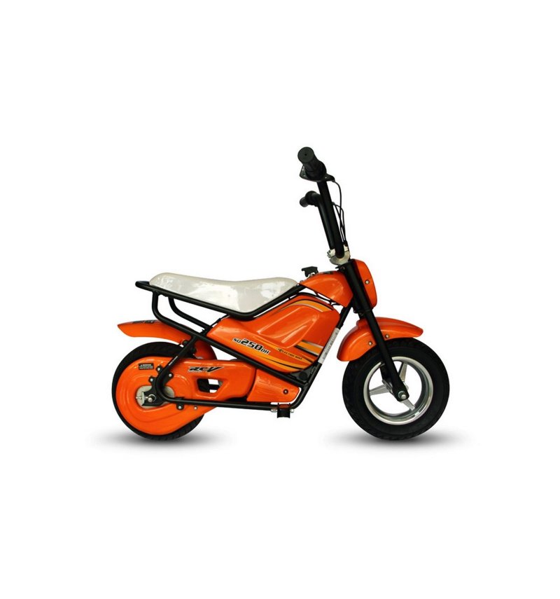 Citycoco Skyboard Trike
