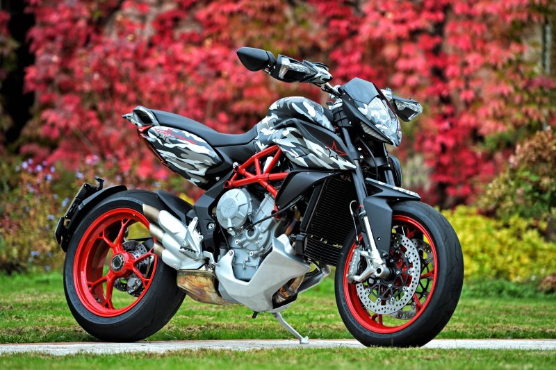 Rivale 800