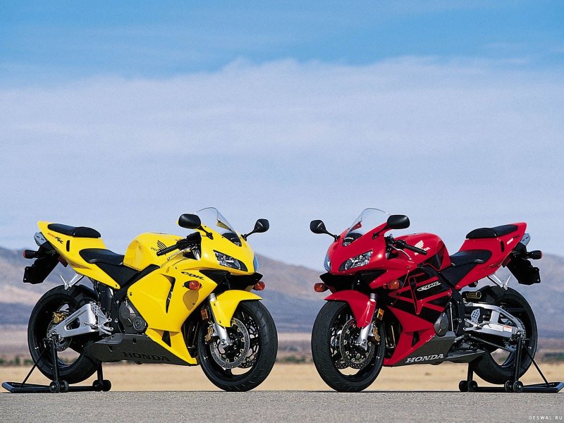 Honda CBR 600
