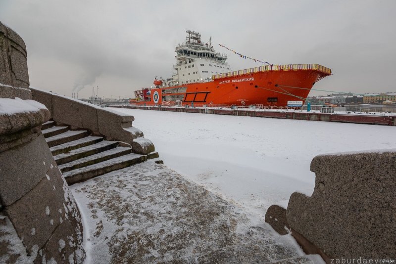 Андрей Вилькицкий корабль