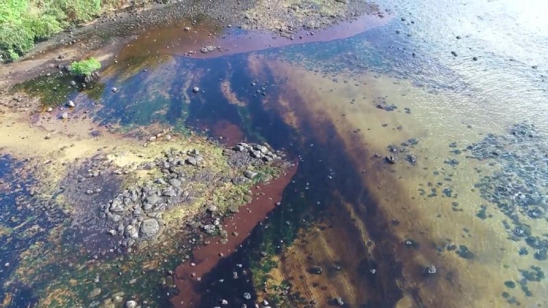 Экологическая катастрофа разлив нефти