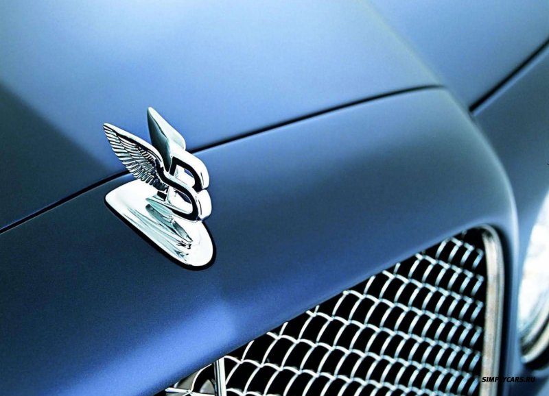 Jaguar значок на капоте