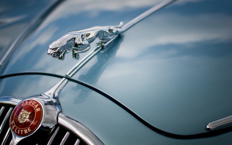 Jaguar auto logo