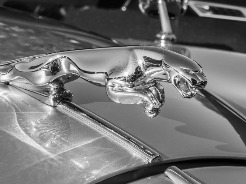 Rolls Royce шильдик