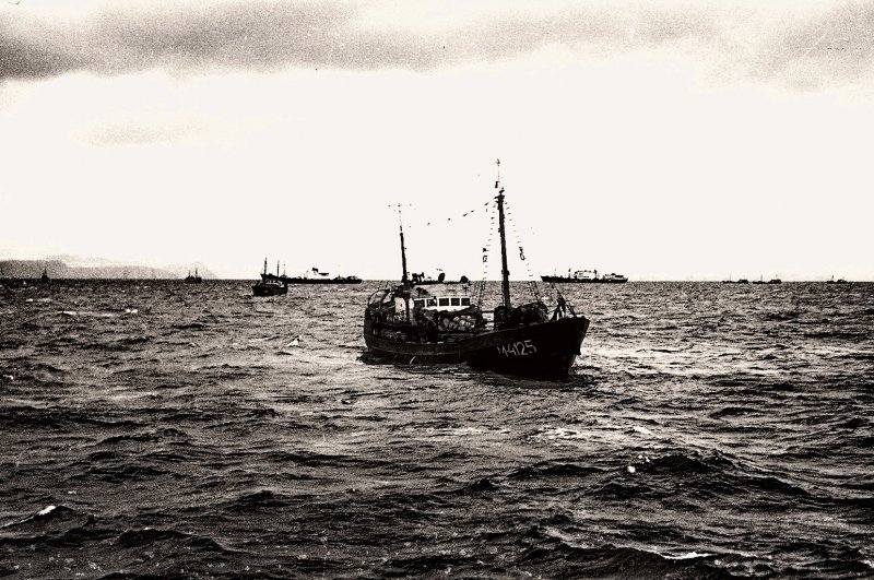 Траулер СРТ 1955