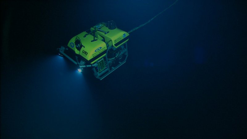 Подводный аппарат Sea Wasp