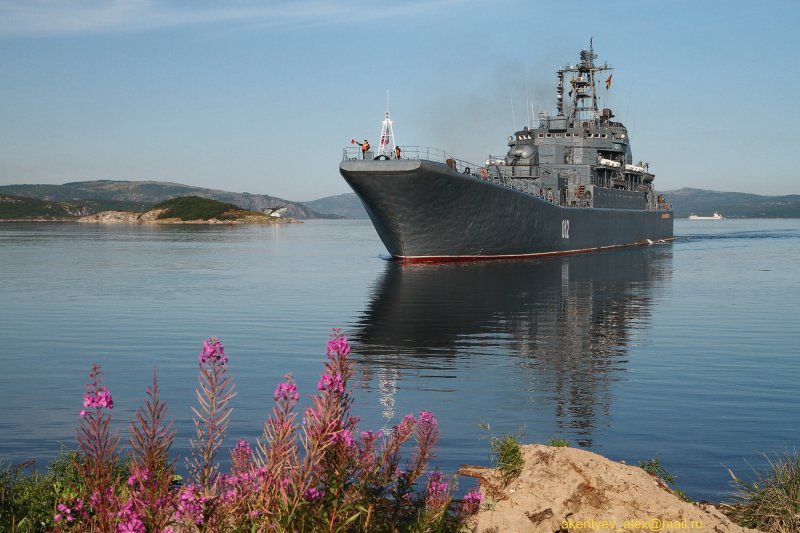 Оленегорский Горняк большой десантный корабль