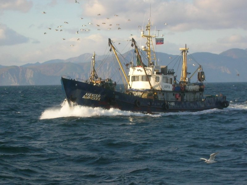 Сейнер РС 300