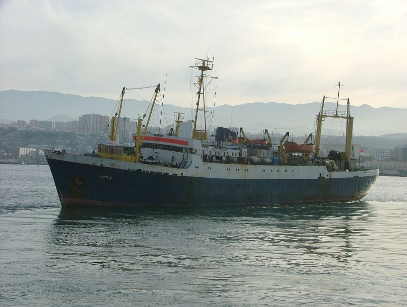 БМРТ большой морозильный рыболовный траулер