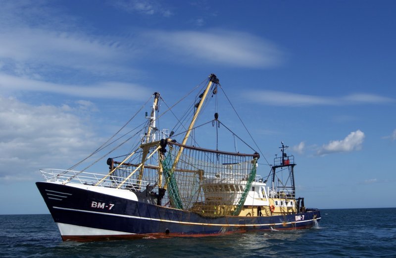 Рыболовное судно (Fishing Vessel)