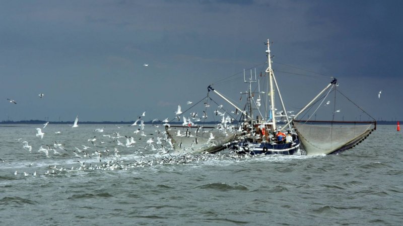 Балтийское море рыболовецкие суда