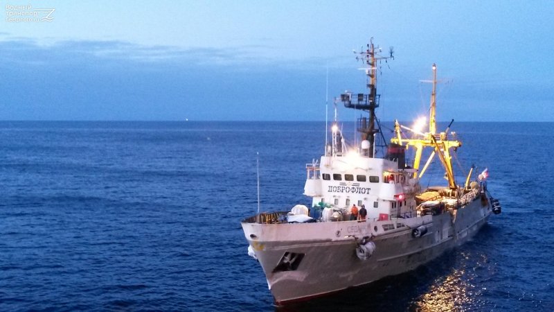 Рефрижераторное судно Охотское море