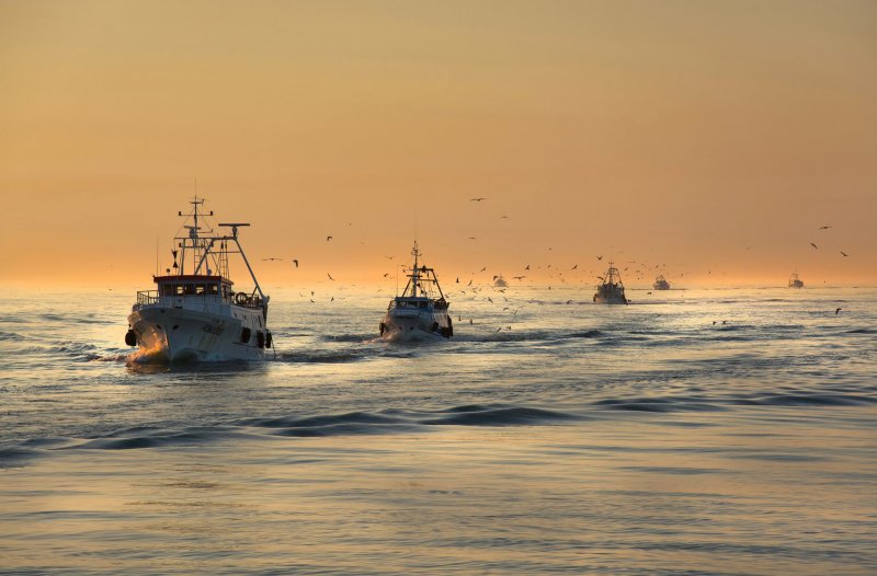 Sea Frozen рыболовное судно