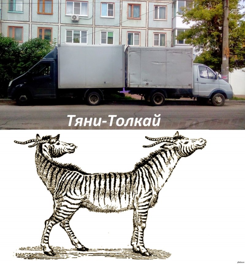 Толкает автомобиль