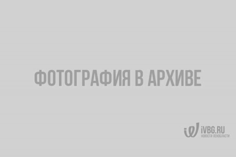 Ледокол «Владивосток» проекта 21900м
