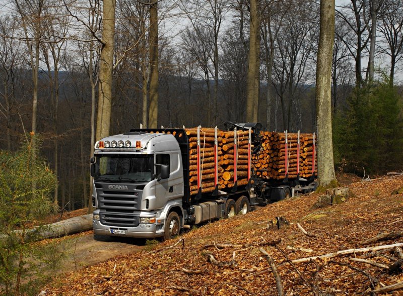 Scania r730 лесовоз