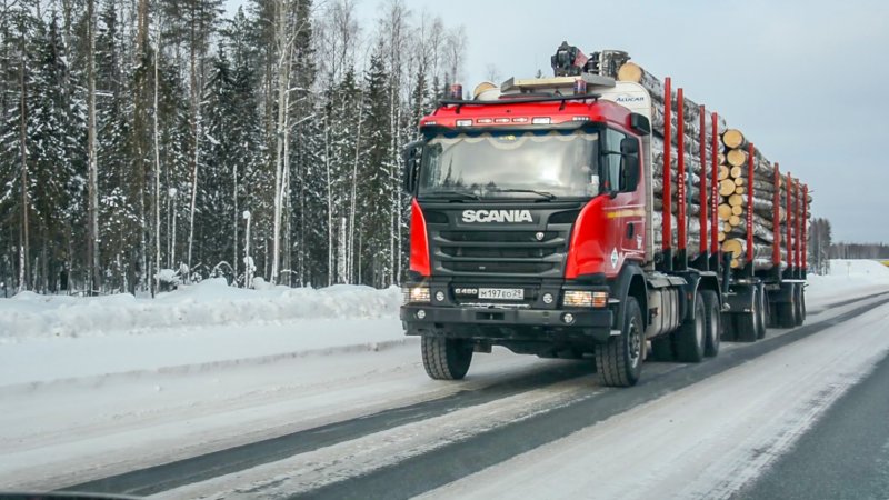 Скания лесовоз 2022