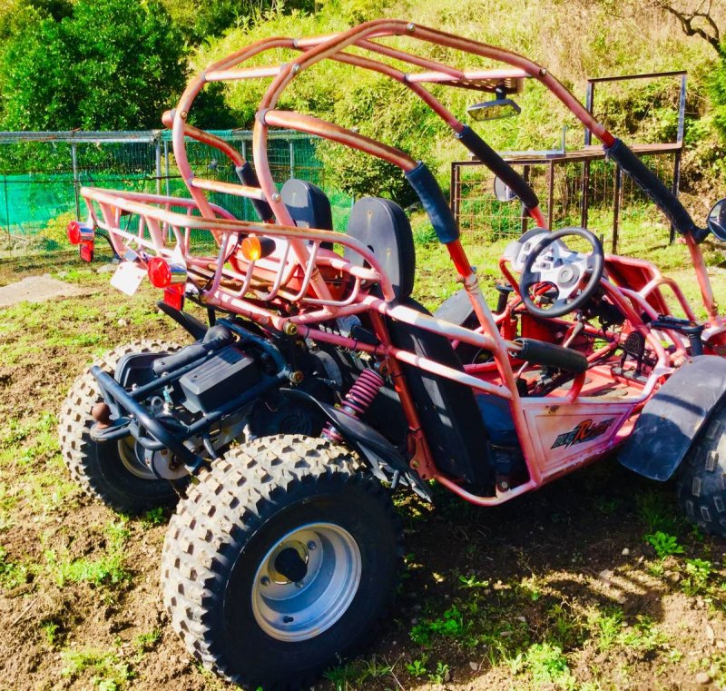 Dune Buggy