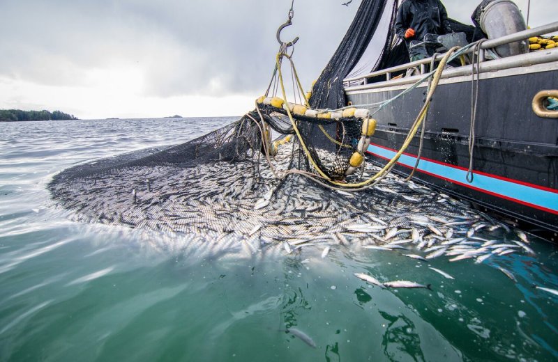 Морское рыболовство