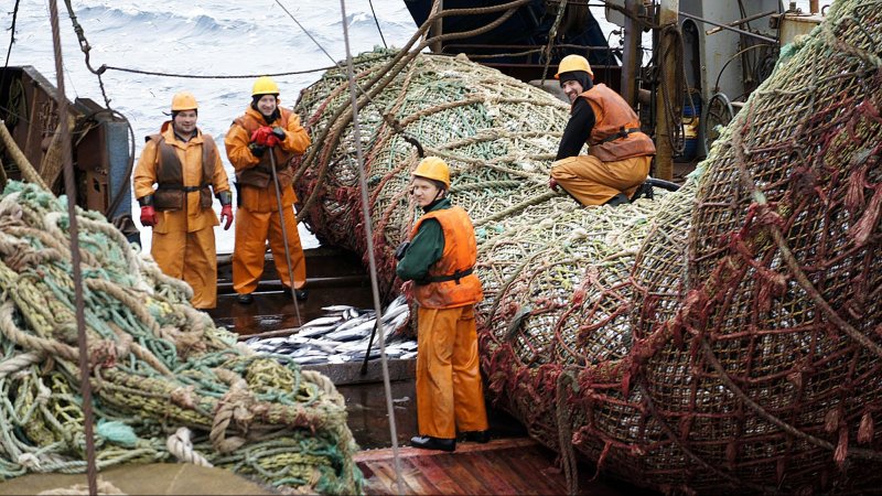 Траловый флот промысел рыбы в море