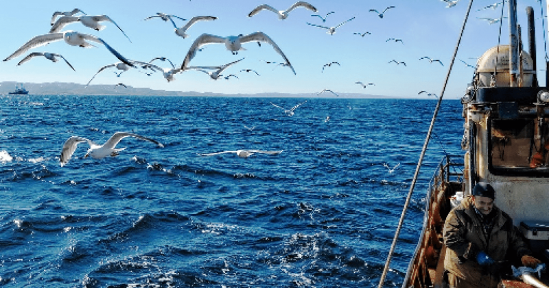Охотское море рыболовство