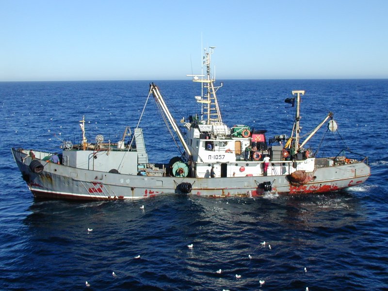 Сейнер РС-600